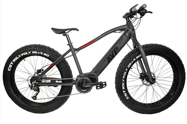 FB-350 ELECTRIC FAT BIKE