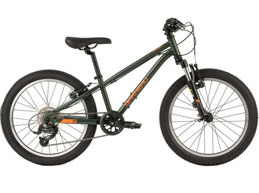 GARNEAU TRUST 20